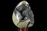 Septarian Dragon Egg Geode - Black Crystals #88513-2